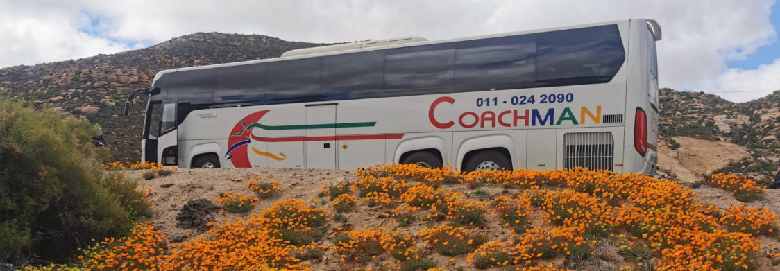 Coachman Bus Tours - Midrand